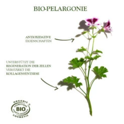 Sanoflore Creme Merveilleuse 40 Ml -Eucerin || Clarins || Clinique Verkäufe 1364987 Sanoflore Creme merveilleuse 40 ml.67820ba2