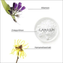 System Professional LipidCode Purify P1 Shampoo 250 Ml -Eucerin || Clarins || Clinique Verkäufe 1674994 System Professional LipidCode Purify P1 Shampoo 250 ml.ffc8064c